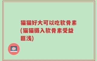 猫猫好大可以吃软骨素(猫猫摄入软骨素受益匪浅)