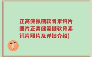 正高健氨糖软骨素钙片图片正高健氨糖软骨素钙片照片及详细介绍)