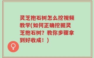 灵芝抱石树怎么挖视频教学(如何正确挖掘灵芝抱石树？教你步骤拿到好收成！)