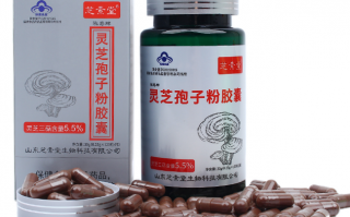 有没有破壁灵芝孢子粉功效详解？有相关研究文献吗？