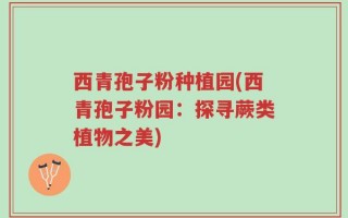 西青孢子粉种植园(西青孢子粉园：探寻蕨类植物之美)
