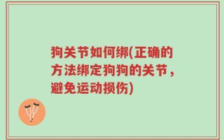 狗关节如何绑(正确的方法绑定狗狗的关节，避免运动损伤)