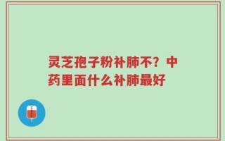 灵芝孢子粉补肺不？中药里面什么补肺最好