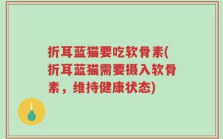 折耳蓝猫要吃软骨素(折耳蓝猫需要摄入软骨素，维持健康状态)