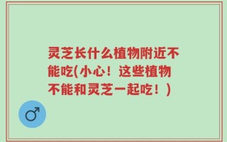 灵芝长什么植物附近不能吃(小心！这些植物不能和灵芝一起吃！)