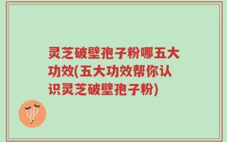 灵芝破壁孢子粉哪五大功效(五大功效帮你认识灵芝破壁孢子粉)