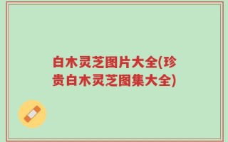 白木灵芝图片大全(珍贵白木灵芝图集大全)