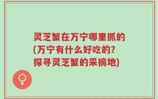 灵芝蟹在万宁哪里抓的(万宁有什么好吃的？探寻灵芝蟹的采摘地)