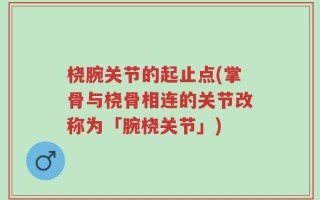 桡腕关节的起止点(掌骨与桡骨相连的关节改称为「腕桡关节」)