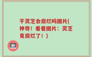 干灵芝会腐烂吗图片(神奇！看看图片：灵芝竟腐烂了！)