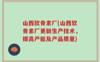 山西软骨素厂(山西软骨素厂更新生产技术，提高产能及产品质量)