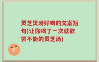 灵芝煲汤好喝的文案短句(让你喝了一次就欲罢不能的灵芝汤)