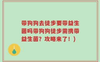 带狗狗去徒步要带益生菌吗带狗狗徒步需携带益生菌？攻略来了！)