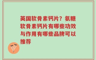 英国软骨素钙片？氨糖软骨素钙片有哪些功效与作用有哪些品牌可以推荐
