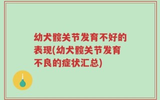 幼犬髋关节发育不好的表现(幼犬髋关节发育不良的症状汇总)
