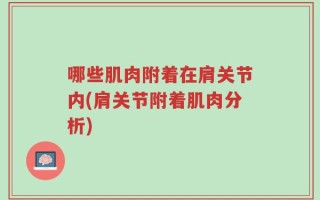 哪些肌肉附着在肩关节内(肩关节附着肌肉分析)
