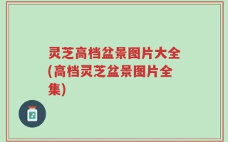 灵芝高档盆景图片大全(高档灵芝盆景图片全集)
