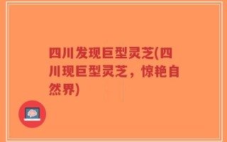 四川发现巨型灵芝(四川现巨型灵芝，惊艳自然界)
