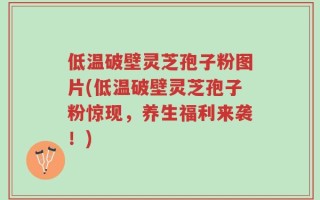 低温破壁灵芝孢子粉图片(低温破壁灵芝孢子粉惊现，养生福利来袭！)