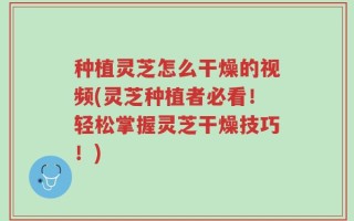 种植灵芝怎么干燥的视频(灵芝种植者必看！轻松掌握灵芝干燥技巧！)