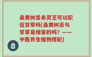 桑黄树舌赤灵芝可以配伍甘草吗(桑黄树舌与甘草是相容的吗？——中医养生植物搭配)