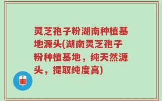 灵芝孢子粉湖南种植基地源头(湖南灵芝孢子粉种植基地，纯天然源头，提取纯度高)