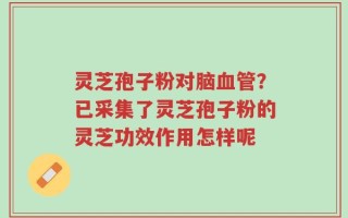 灵芝孢子粉对脑血管？已采集了灵芝孢子粉的灵芝功效作用怎样呢