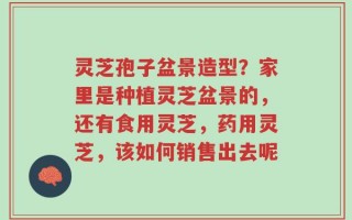 灵芝孢子盆景造型？家里是种植灵芝盆景的，还有食用灵芝，药用灵芝，该如何销售出去呢
