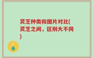 灵芝种类和图片对比(灵芝之间，区别大不同)