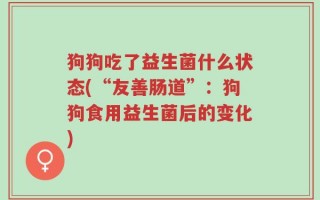 狗狗吃了益生菌什么状态(“友善肠道”：狗狗食用益生菌后的变化)