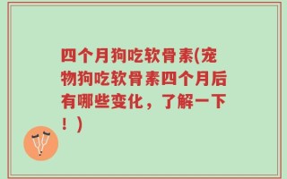 四个月狗吃软骨素(宠物狗吃软骨素四个月后有哪些变化，了解一下！)