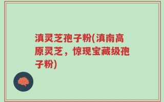 滇灵芝孢子粉(滇南高原灵芝，惊现宝藏级孢子粉)