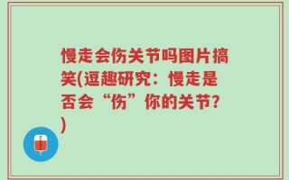 慢走会伤关节吗图片搞笑(逗趣研究：慢走是否会“伤”你的关节？)