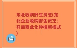 东北收购野生灵芝(东北企业收购野生灵芝：开启商业化种植新模式)