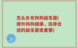 怎么补充狗狗益生菌(提升狗狗健康，选择合适的益生菌很重要)
