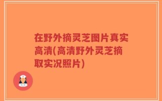 在野外摘灵芝图片真实高清(高清野外灵芝摘取实况照片)