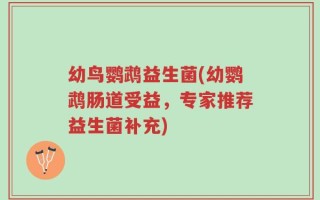 幼鸟鹦鹉益生菌(幼鹦鹉肠道受益，专家推荐益生菌补充)