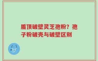 盾顶破壁灵芝孢粉？孢子粉破壳与破壁区别