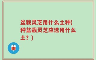 盆栽灵芝用什么土种(种盆栽灵芝应选用什么土？)