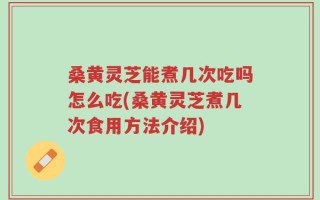 桑黄灵芝能煮几次吃吗怎么吃(桑黄灵芝煮几次食用方法介绍)