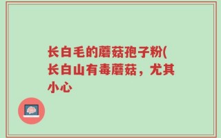 长白毛的蘑菇孢子粉(长白山有毒蘑菇，尤其小心