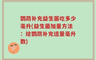 鹦鹉补充益生菌吃多少毫升(益生菌加量方法：给鹦鹉补充适量毫升数)