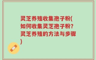灵芝养殖收集孢子粉(如何收集灵芝孢子粉？灵芝养殖的方法与步骤)