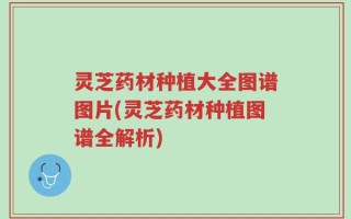 灵芝药材种植大全图谱图片(灵芝药材种植图谱全解析)