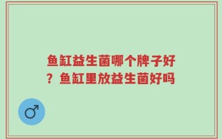 鱼缸益生菌哪个牌子好？鱼缸里放益生菌好吗