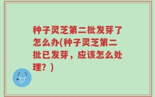 种子灵芝第二批发芽了怎么办(种子灵芝第二批已发芽，应该怎么处理？)