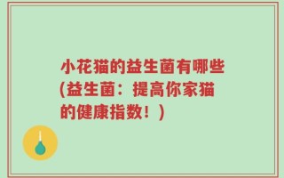 小花猫的益生菌有哪些(益生菌：提高你家猫的健康指数！)