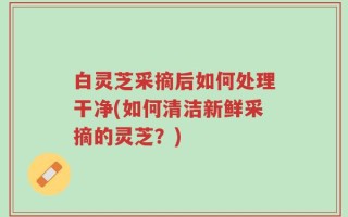 白灵芝采摘后如何处理干净(如何清洁新鲜采摘的灵芝？)