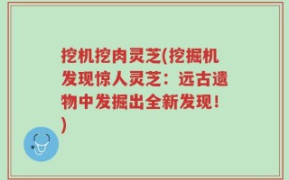 挖机挖肉灵芝(挖掘机发现惊人灵芝：远古遗物中发掘出全新发现！)