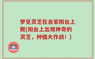 梦见灵芝在自家阳台上爬(阳台上出现神奇的灵芝，种植大作战！)